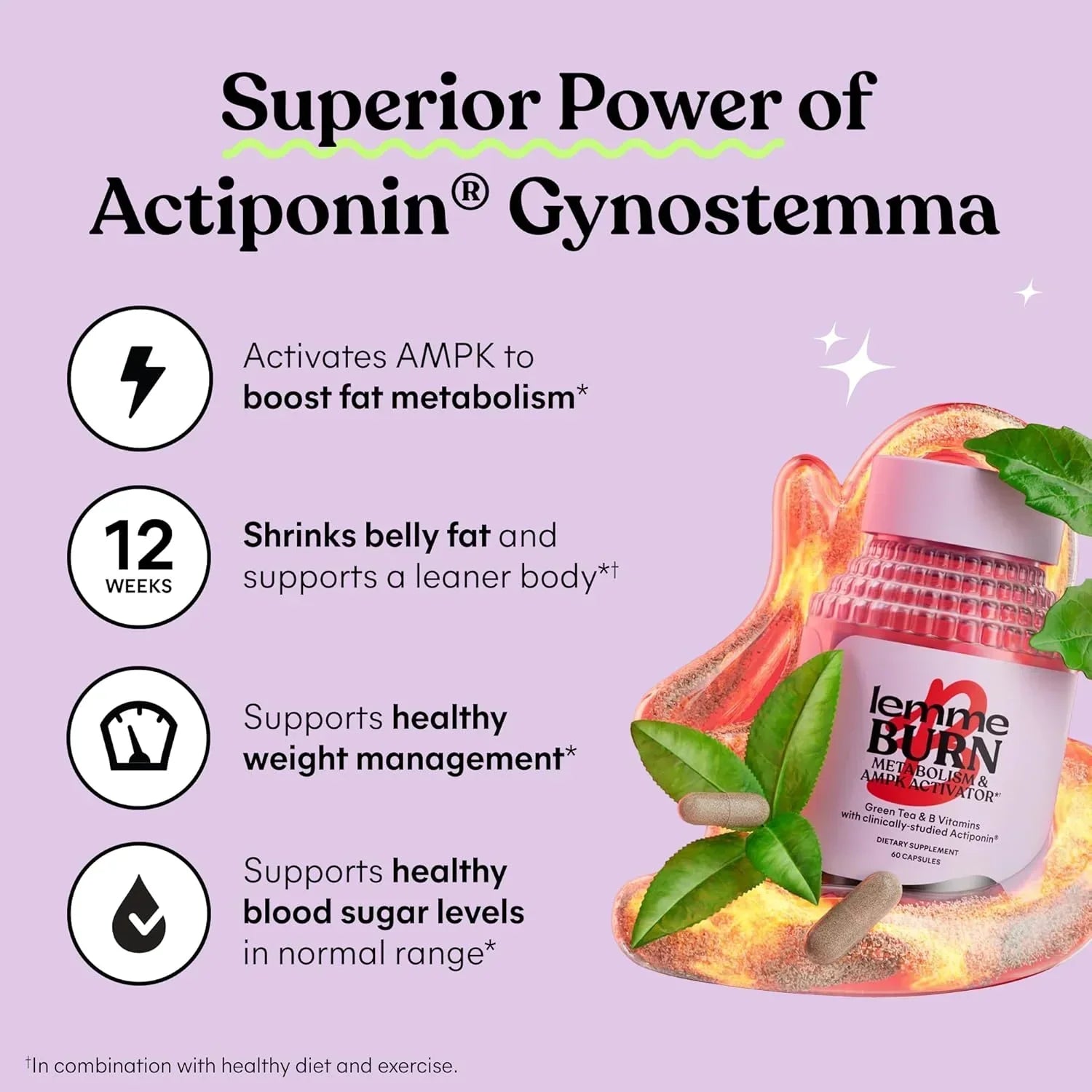 Metabolism, Belly Fat Burning + AMPK Activating Supplement for Men & Women